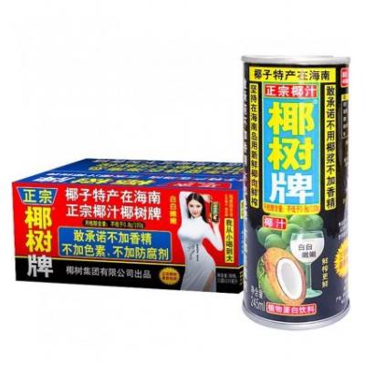 椰树牌椰汁（一箱24罐）