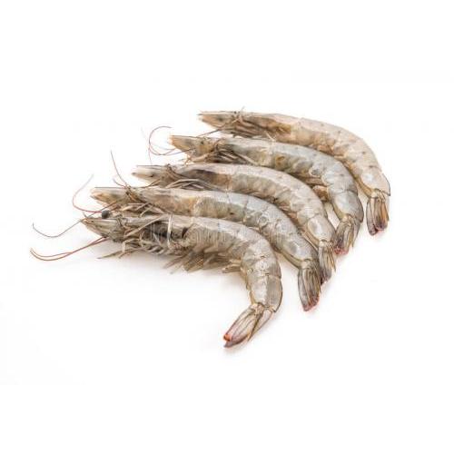 冷冻 有壳大虾 基围虾1KG