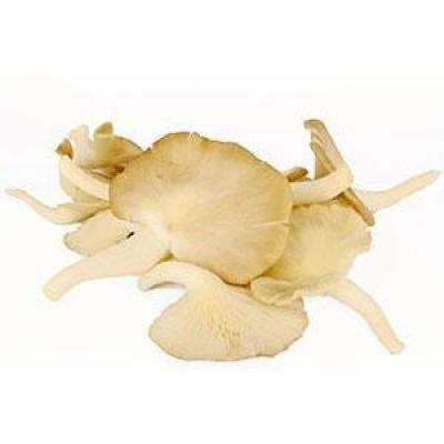 新鲜 平菇 250g（盒装）