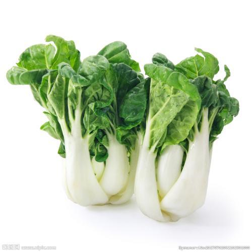 奶白菜 450G