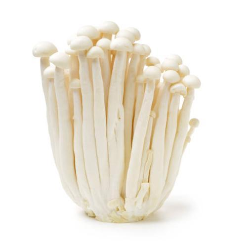 新鲜 海鲜菇 150G