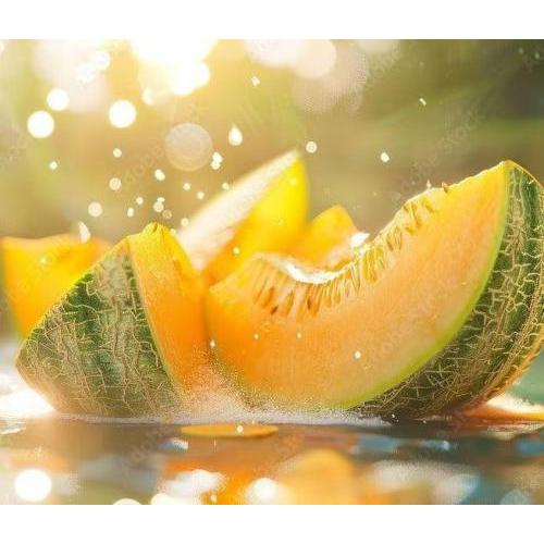 悦刻 烟弹 北海道蜜瓜