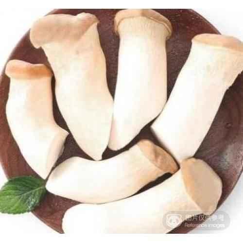 king oysters 4个