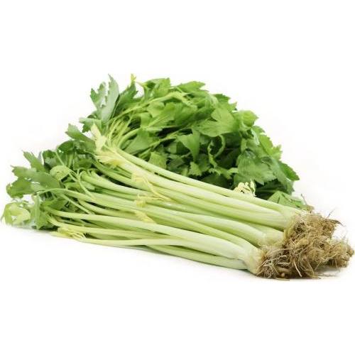 中国 芹菜 250g